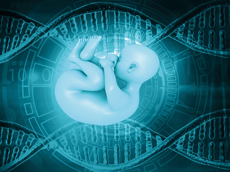Embriyolara Genetik Tanı ( Pgd ve Ngs )